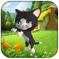 Talking Dancing Cat