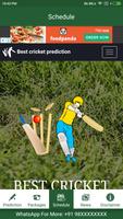 IPL Cricket Prediction स्क्रीनशॉट 1