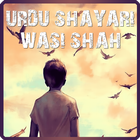 Urdu Shayari-icoon