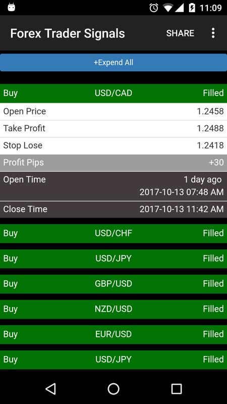 T/p forex