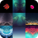 Wallpaper For Iphone 7 & Iphone 8 APK