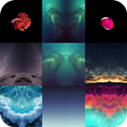Wallpaper For Iphone 7 & Iphone 8 icon