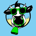 Radio Campaner
