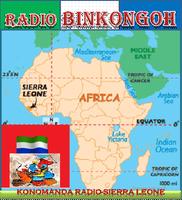 PANAFRICAN RADIO BINKONGOH Affiche