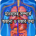 মানবদেহ সম্পর্কে অজানা ও মজার তথ্য simgesi