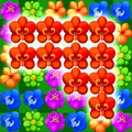 tuin crush bloem koning