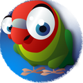 Maverick Bird