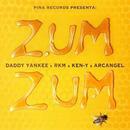 🐝Zum Zum🍯  Daddy Yankee Rkm & Ken-Y  Arcangel APK