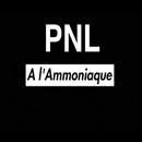 PNL - A l'Ammoniaque APK