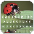 Sweet Ladybug Keyboard icon