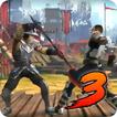 ”Guide Shadow Fight 3 Gameplay