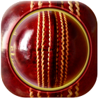 Cricket Live Score icône