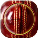 Cricket Live Score APK