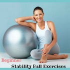 10 Effective Stability Ball Exercises icône