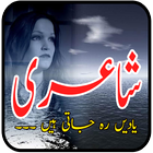 Urdu Poetry ícone