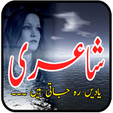 Urdu Poetry icône