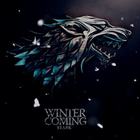 Winter Is Coming Stark ikon