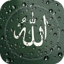 الله خلفية حية APK