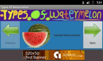 Watermelon Facts screenshot 1