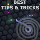 Best Tips Slither io APK