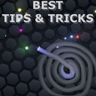 Best Tips Slither io ไอคอน