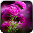 Live Wallpaper - Flowers icône