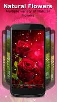 Live Wallpaper - Flowers imagem de tela 2