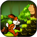 Jungle Bunny Run aplikacja