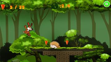 Jungle Bunny Run الملصق