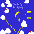 ”Steve Goes Skydiving