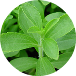 Stevia ☘