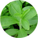 Stevia ☘ APK