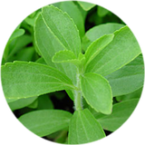 Stevia ☘ アイコン