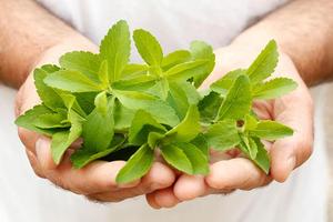 Stevia ☘ اسکرین شاٹ 2