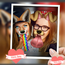 APK Photo sticker Pro