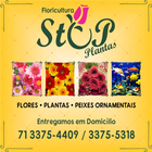 Stop Plantas Floricultura biểu tượng