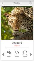 Learn Animals Name and Sounds for Children imagem de tela 1