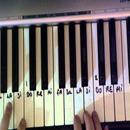 Organ Instrument de musique APK