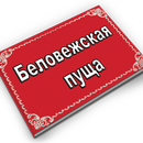 Беловежская пуща APK