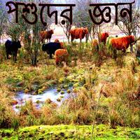 Story collection 15 পোস্টার