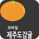 제주감귤 APK