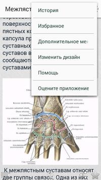 Атлас по анатомии сапин скачать pdf