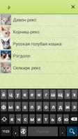 Породы кошек screenshot 3