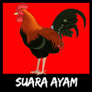 Suara Ayam Ringtones APK