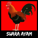 Suara Ayam Ringtones