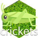 Cricket noises Mp3 icône