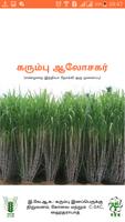 Cane Adviser Tamil-poster