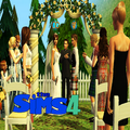 The Sims 4 of  new guide