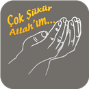 Şükür Listem APK