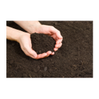 Soil Classification icono